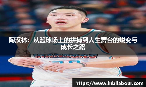 皇冠体育官网